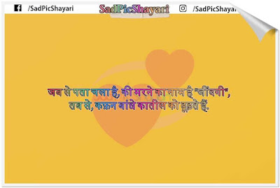 love se nafrat status love se nafrat status