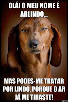 Signos sedutores QUAIS OS SIGNOS MAIS SEDUTORES