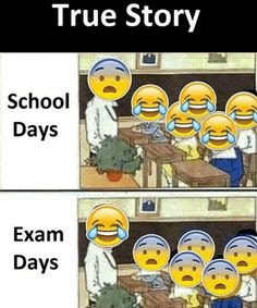 Exam Quotes For Students Funny