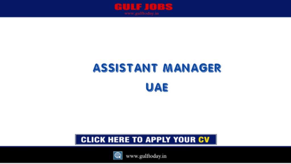UAE Jobs Assistant Manager Financial Planning & AnalysisDubai