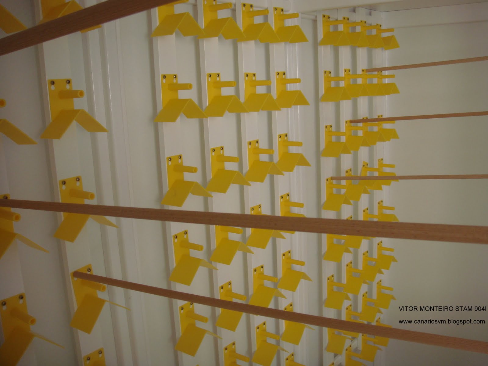 O cantinho dos Canarios Voadeira concluida ! (Fotos)