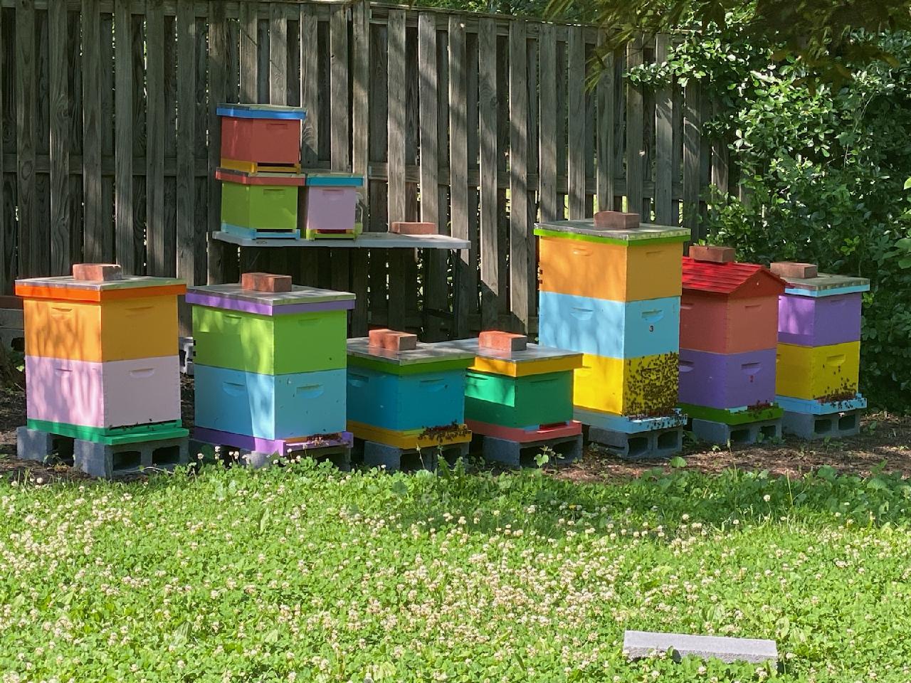 Beekeeping We Published A Book On Beekeeping