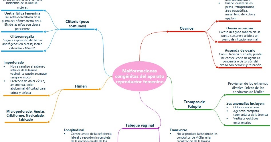 Malformaciones congenitas del aparato genital femenino