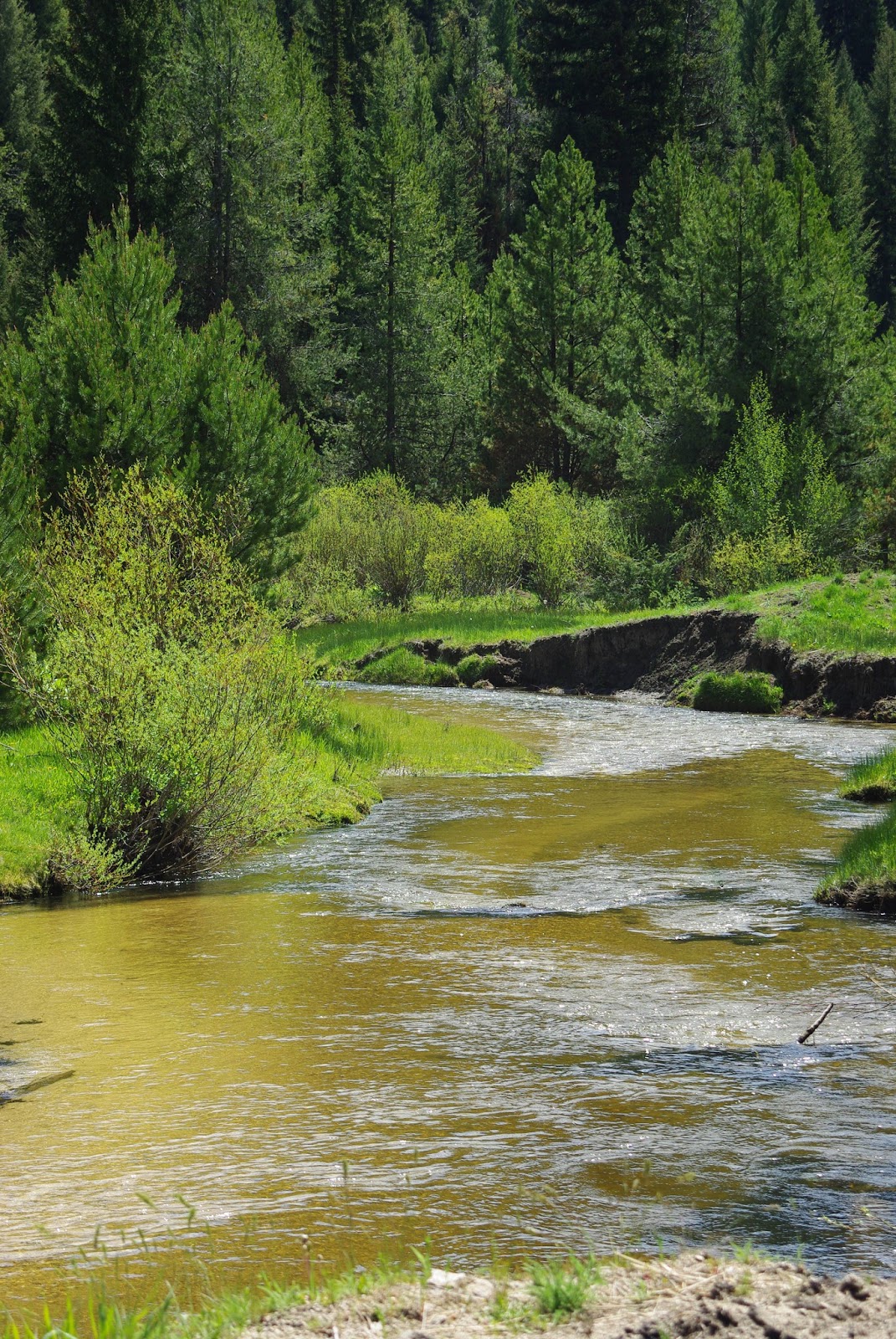 Dutch Love Family Clear Creek, Idaho
