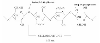 Struktur selulosa