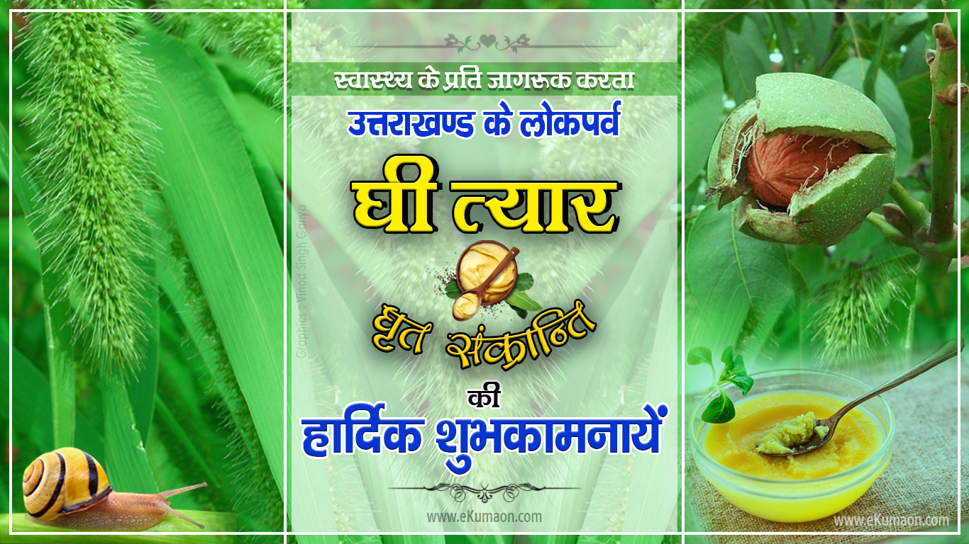 Ghee Sankranti Festival of Uttarakhand GHEE TYAR Festival of