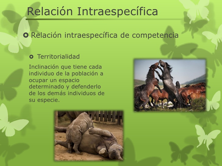 naturaleza y sociedad