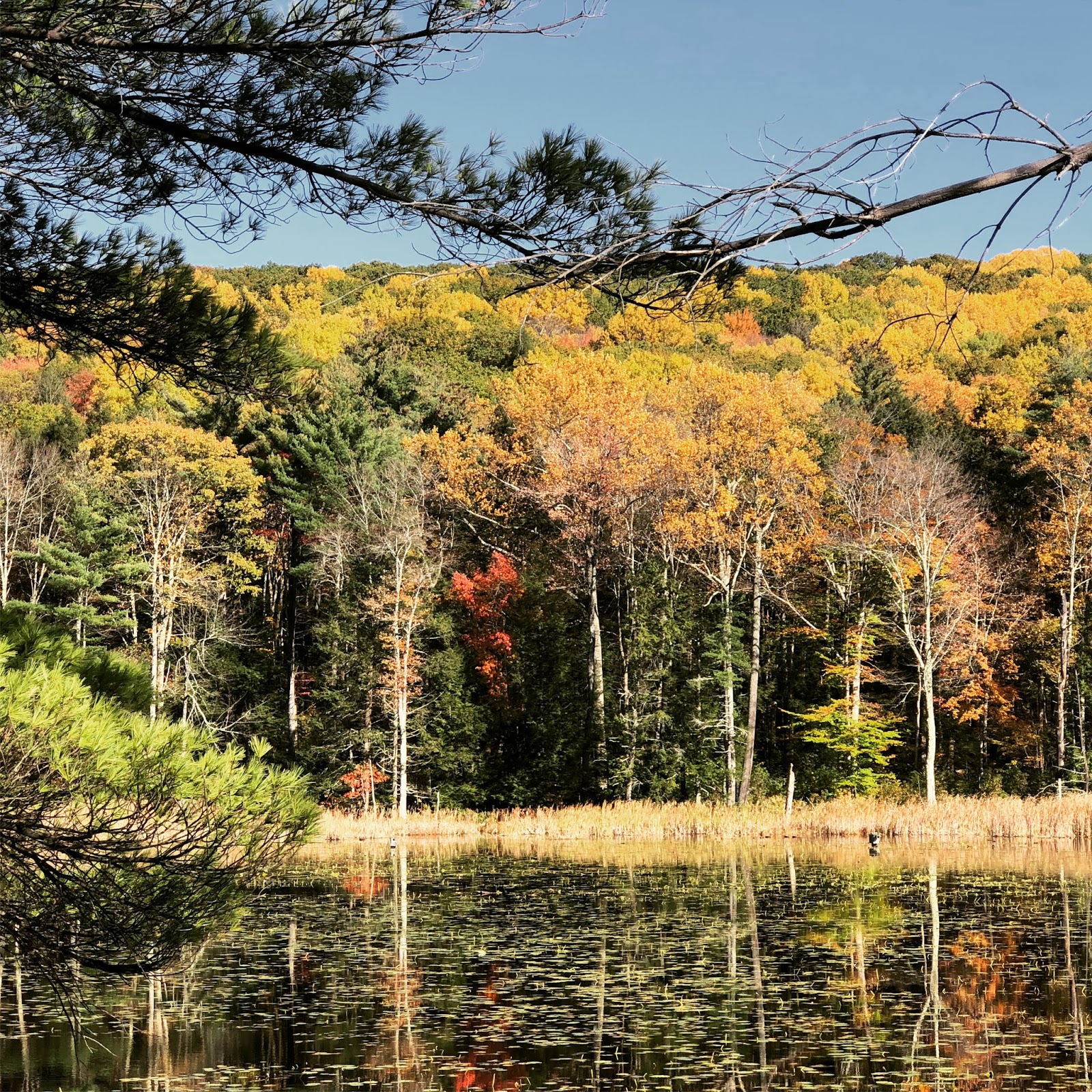4 Towns to Visit in The Berkshires in the Fall