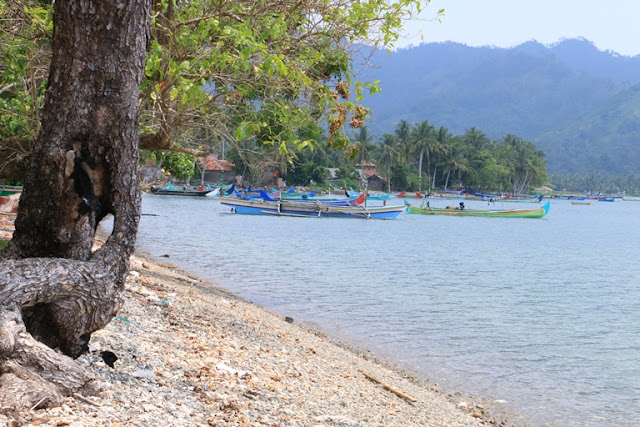 Teluk Kiluan Lampung