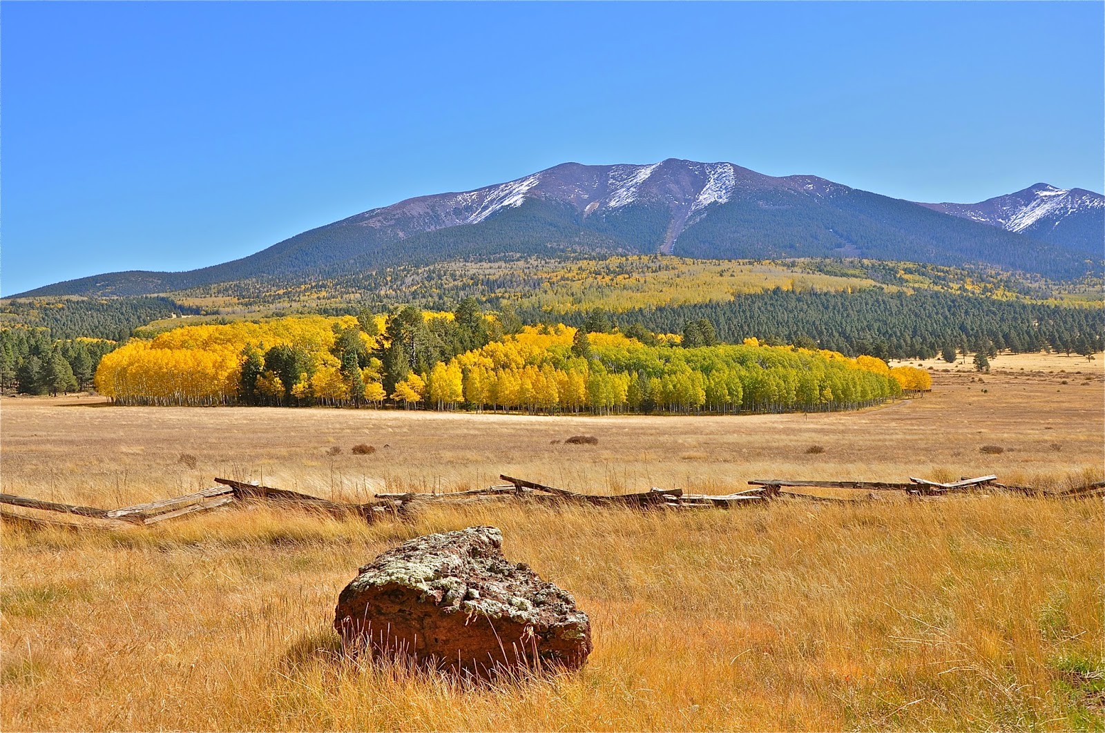 Finding Arizona Beautiful Hart Prairie
