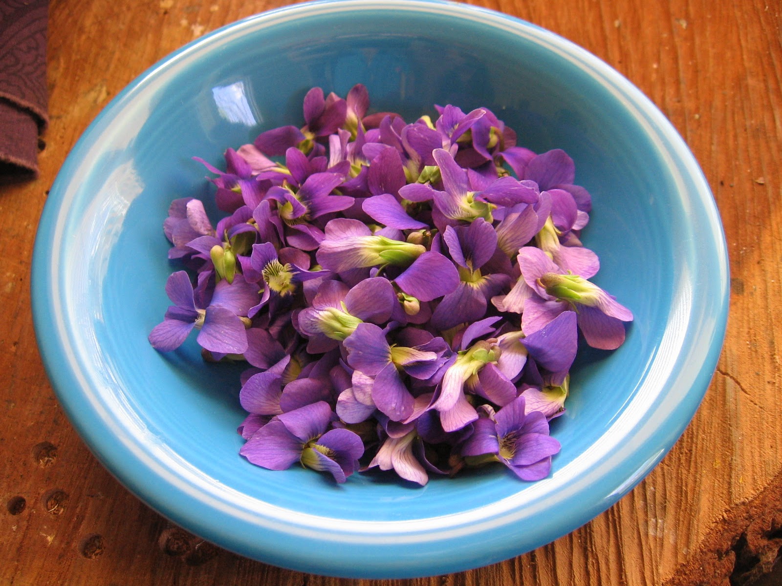 Concha's Comments Violets Are Edible