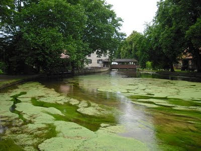 Die Schwäbische Alb und ihre Natur Der Aachtopf die stärkste