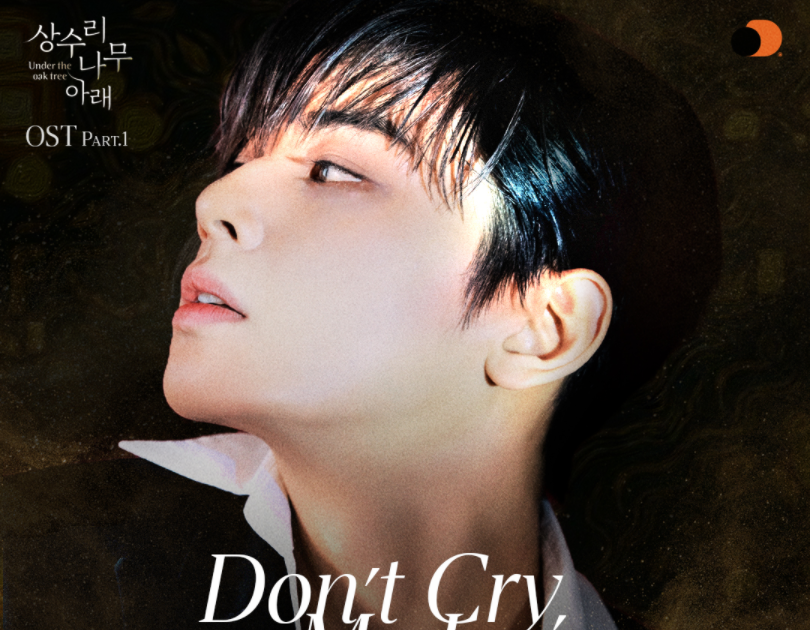 Don't Cry My Love Ep 1 Eng Sub Cha Eun Woo presenta Don't Cry My Love