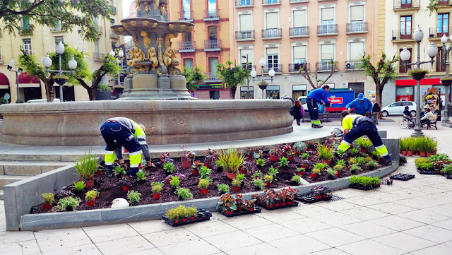 Solución Floral en La Fuente de las Musas  (Plaza de Navarra-Huesca)