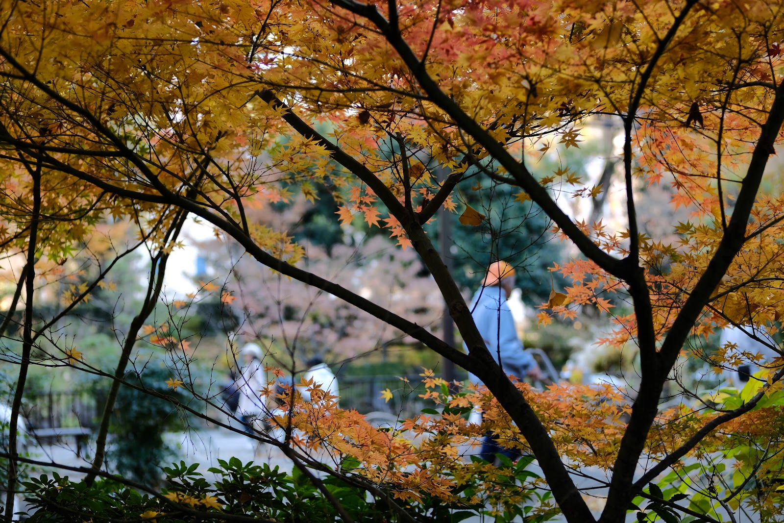 DSCF5074.JPG