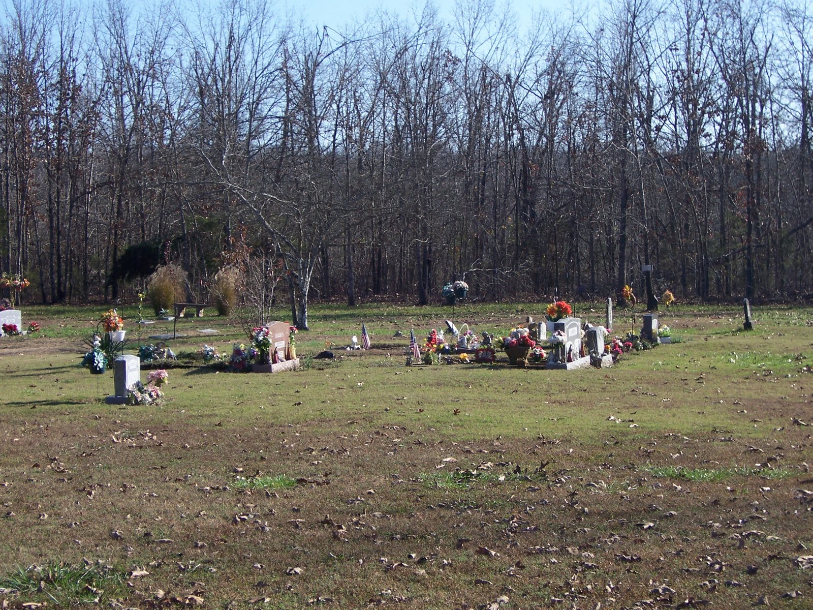 Cemeteries of Baxter County, AR The Lower Oakland Cemetery is on
