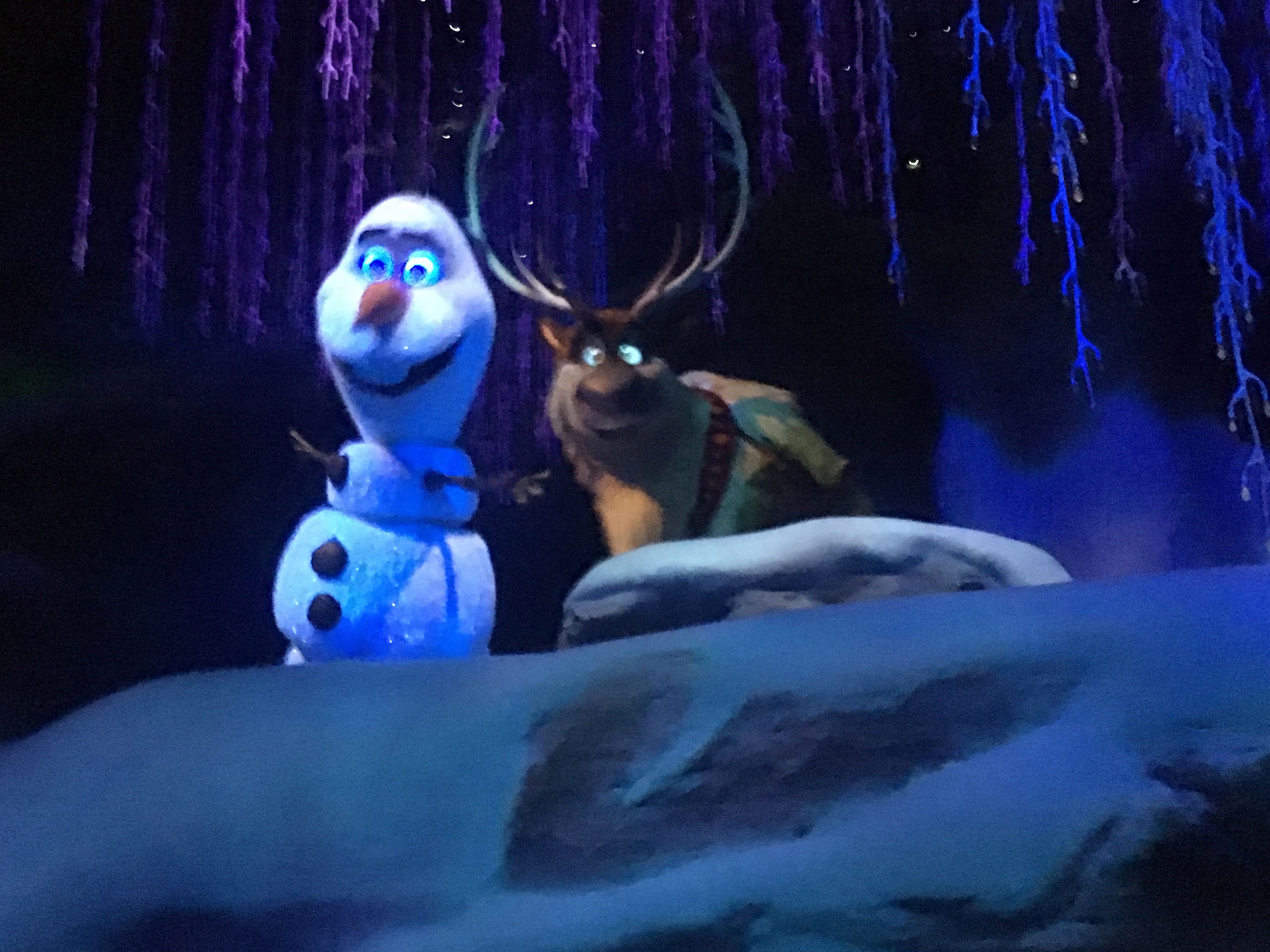 10 Fun Facts About Frozen Ever After