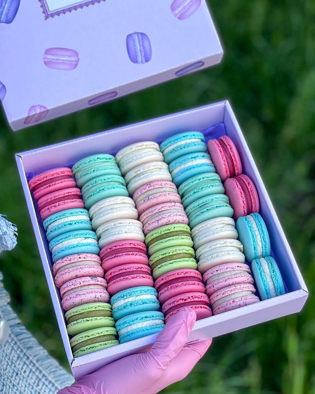 Colourful French macaron set by Lucia. | Melody Jacob
