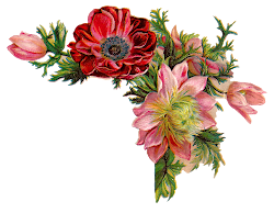 corner flower flowers floral digital clipart pink antique clip transparent victorian antiqueimages drawing webstockreview discover