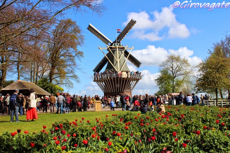 parco fiori keukenhof olanda