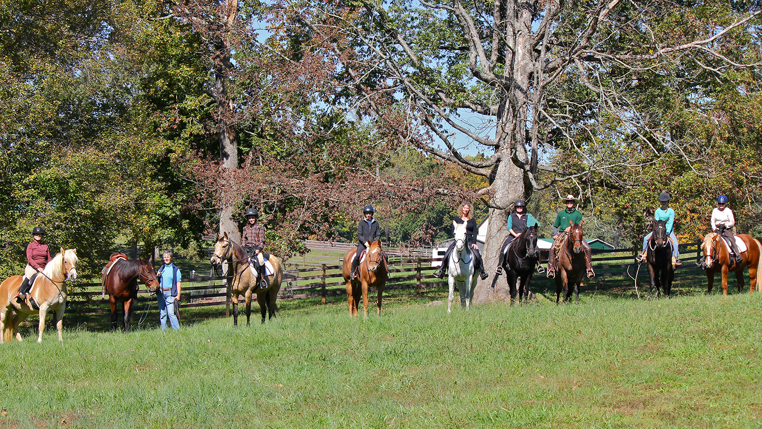 Just Horses Cooler Horsemanship Trail Riding Clinic