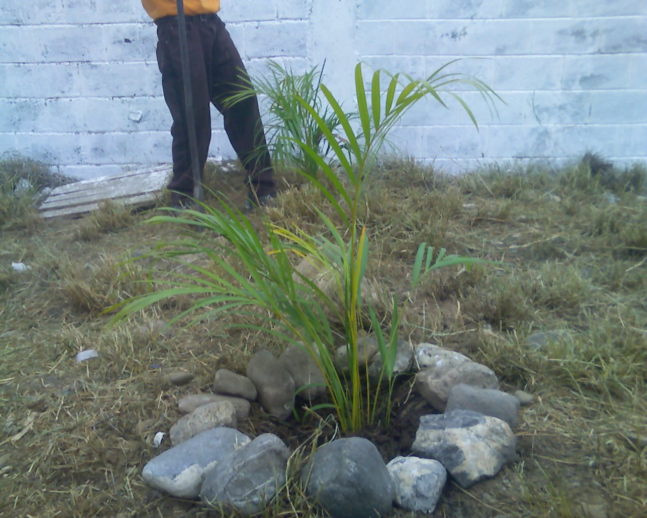 Corriente Revolucionaria del PSUV de Palavecino FOTOREPORTAJE Comuna