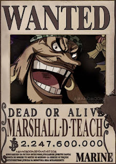 Top 10 Highest bounty of the one piece