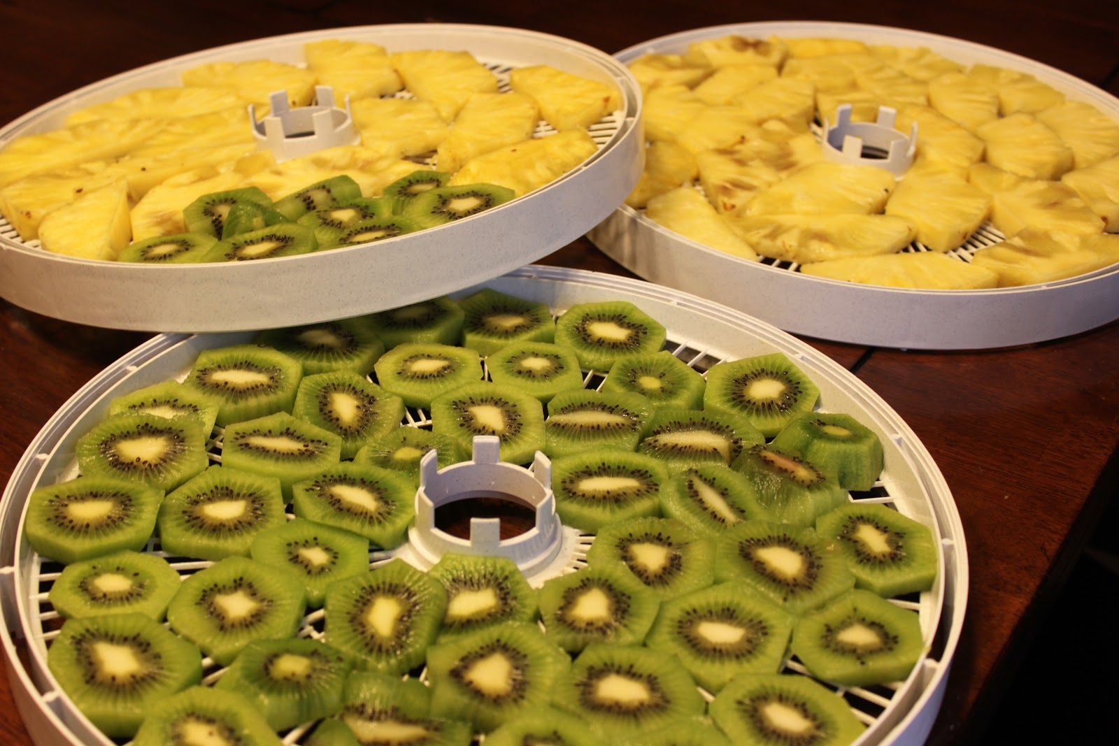 FoodTasticSisters Homemade Dried Fruit