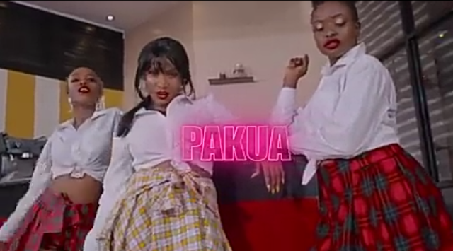 VIDEO | Jovial ft. Mejja - Pakua | mp4 DOWNLOAD