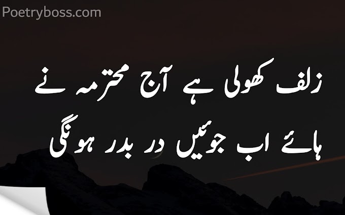 Top Most Funny Poetry in Urdu - Most Funny Shayari in Urdu