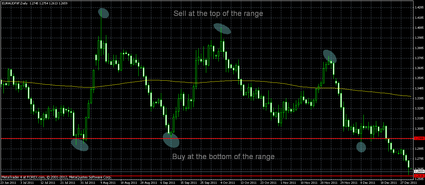 Big profit forex