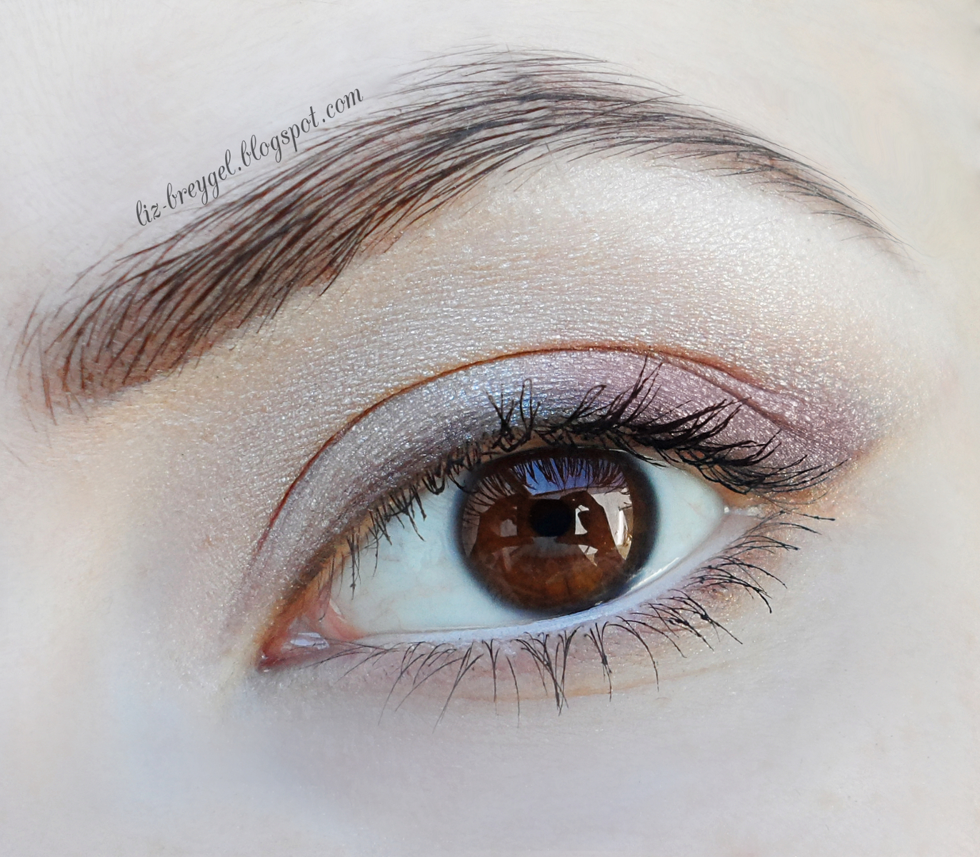 An Easy Everyday Eye Look for Beginners StepbyStep Makeup Tutorial January Girl