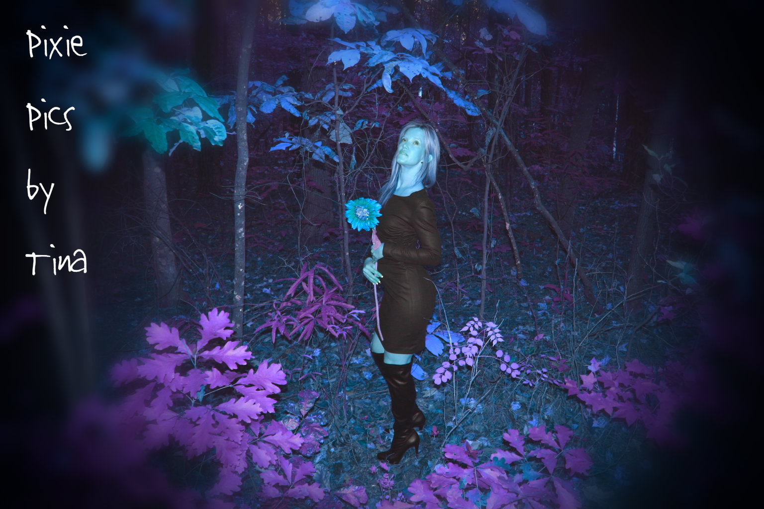 A fairy in the woods