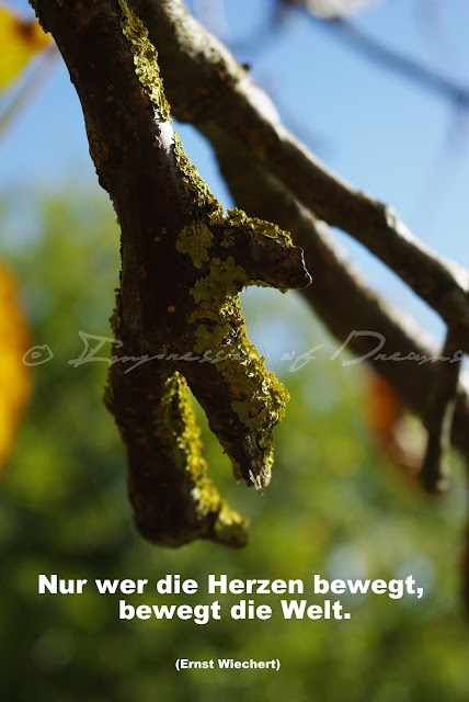 Nur wer die Herzen bewegt, bewegt die Welt