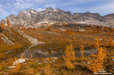 Mt. Monica above fall larches and a lake in Monica Meadows, Purcell Range, British Columbia, Canada.