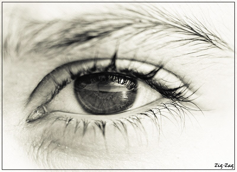 La galerie photo de ZigZag Best Of de mon premier blog Macro