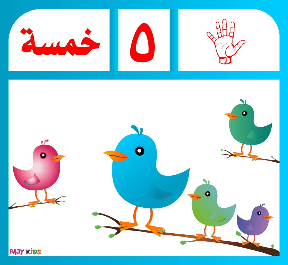 تعليم الارقام العربية للأطفال من 1 إلي 10