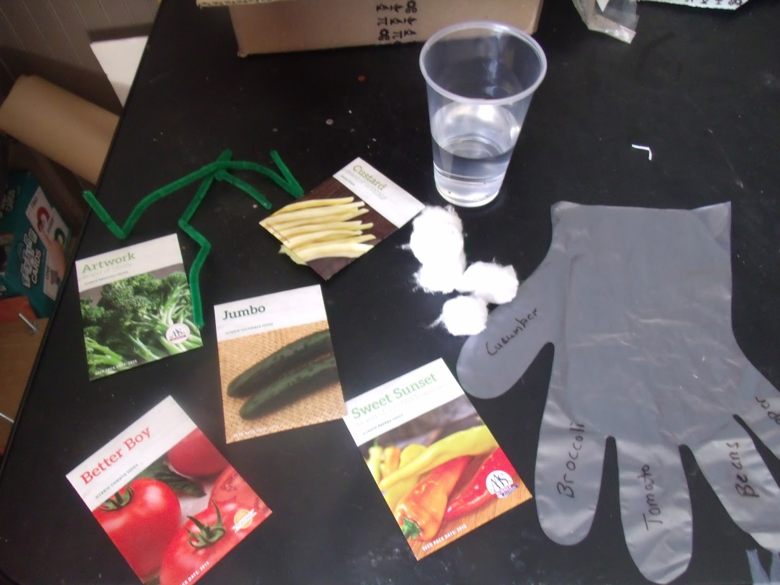 The Happy Homeschool Mom Homeschool Science Camp Garden in a Glove