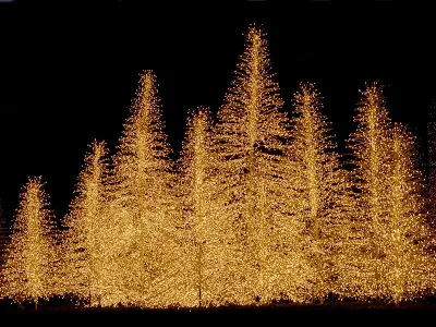 Papel de Parede Árvore de Natal Iluminada