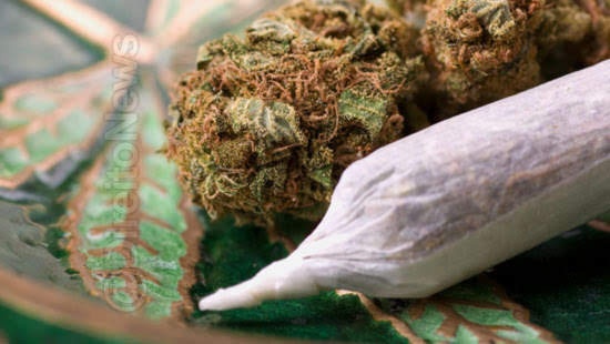 juiz trancamento termo circunstanciado droga consumo juiz trancamento termo circunstanciado droga consumo