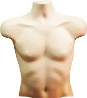Torso (tubuh bagian atas) Torso (tubuh bagian atas)