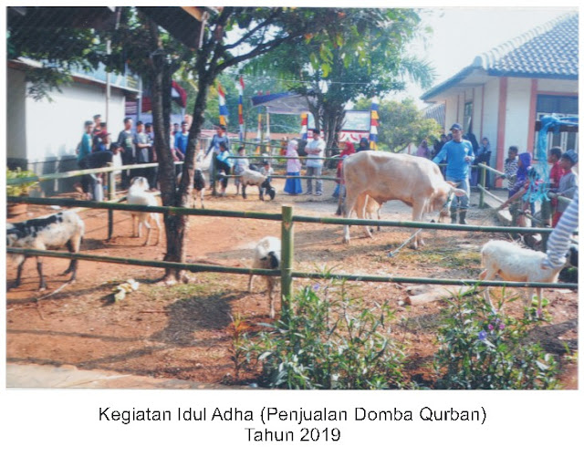 Kegiatan Idul Adha - Penjualan Domba Qurban 2019