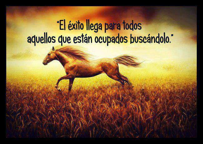 Las mas inspiradoras frases de exito personal - Frases de Exito