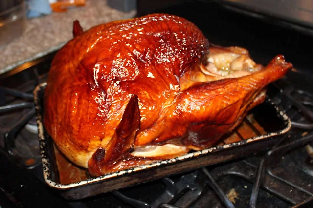 Alton Brown turkey