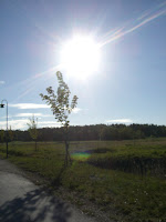 En%2Bbra%2Btr%25C3%25A4ningsdag%2B%25281%2529 - En bra träningsdag