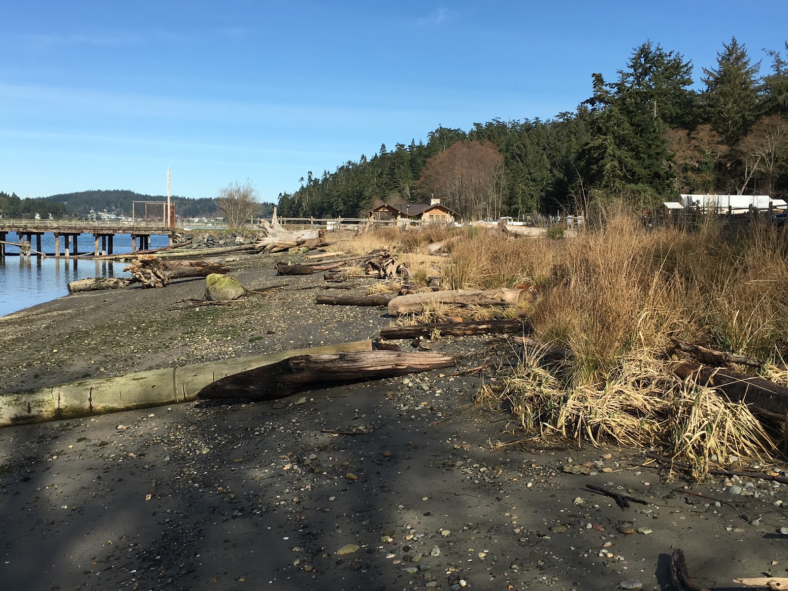 Washington Department of Ecology New app shows softer side of Puget Sound