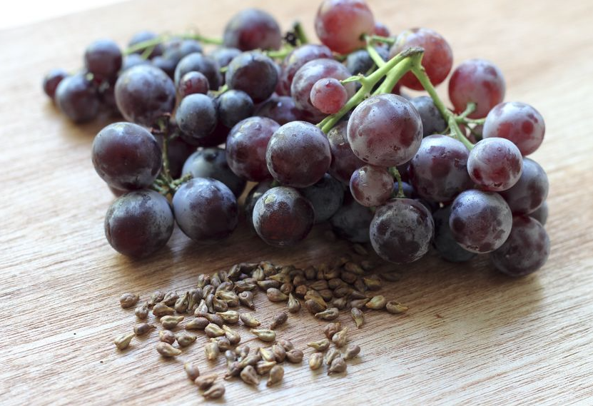 Vitality The remarkable health benefits of grape seeds