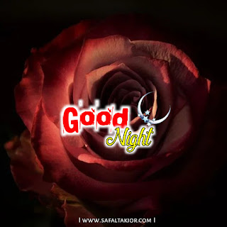 good night rose image