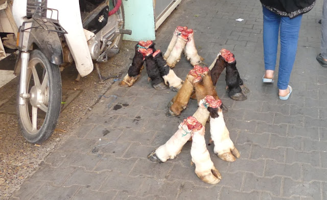 Souk in Marrakesch - Rinderfüße Souk in Marrakesch - Rinderfüße