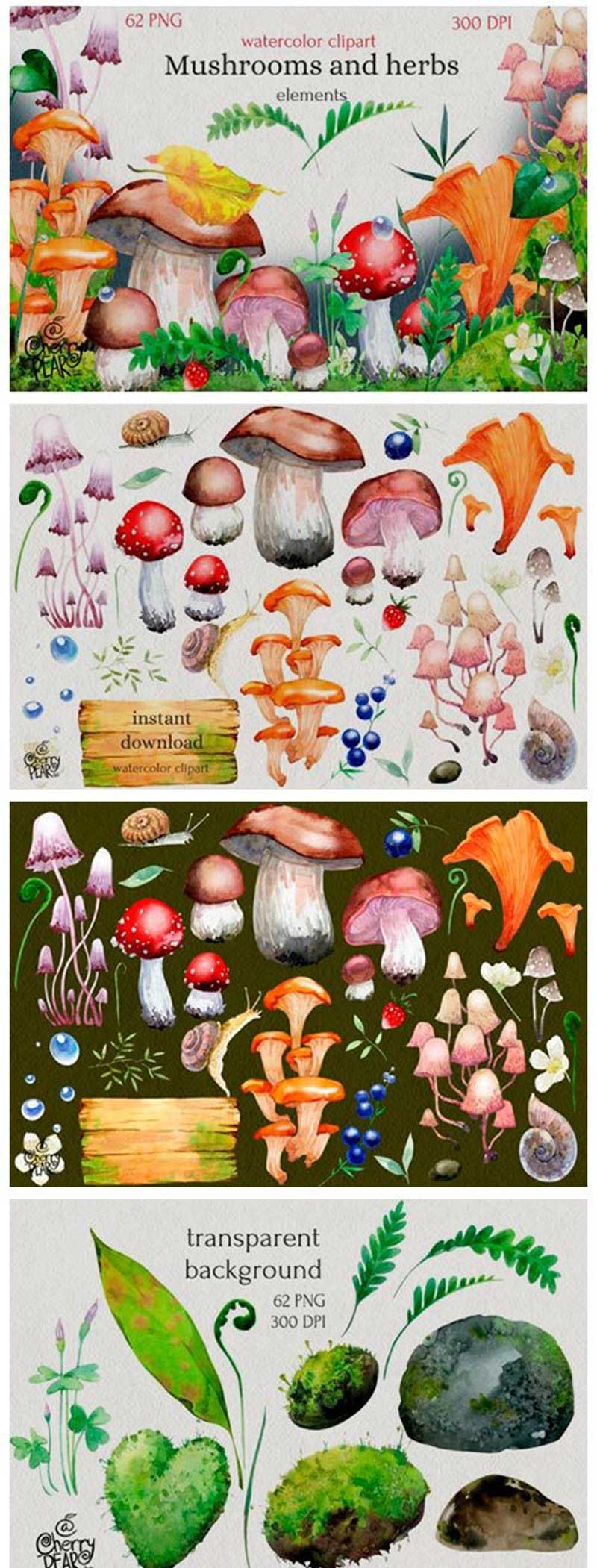 Watercolor Cliparts of Mushrooms 14755508 2 %252C bnmfnjf